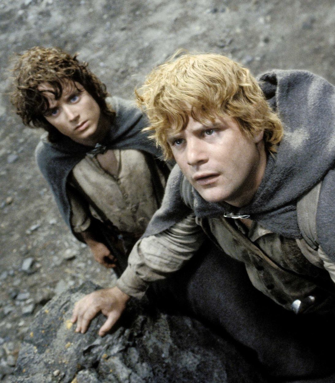 Elijah Wood And Sean Astin In Lord Of The Rings