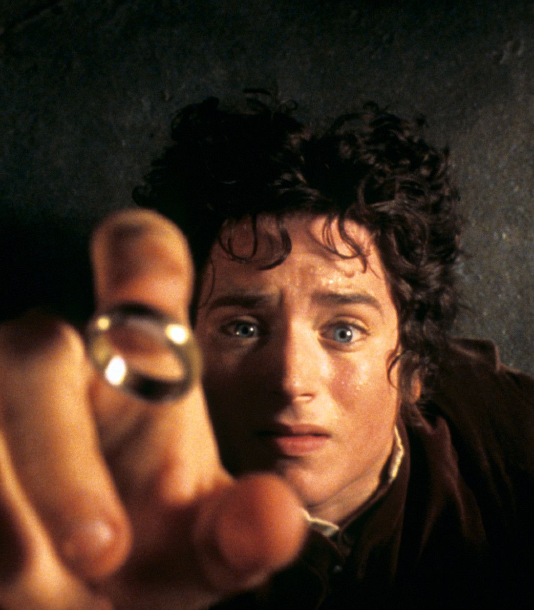 Elijah Wood As Frodo In Lord Of The Rings