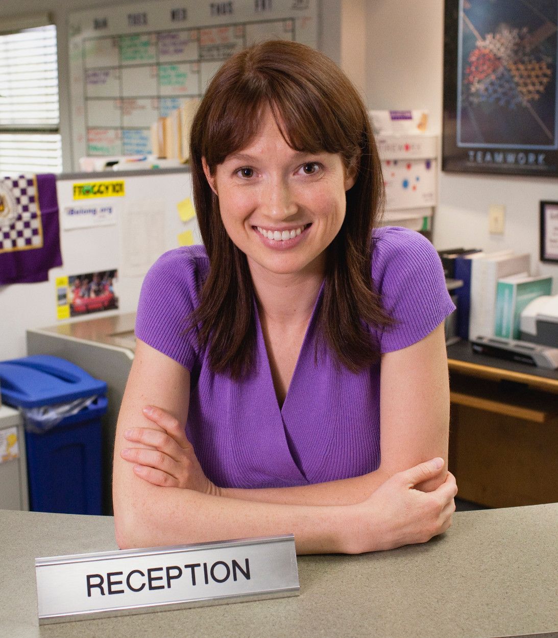 Ellie Kemper as Erin on The Office