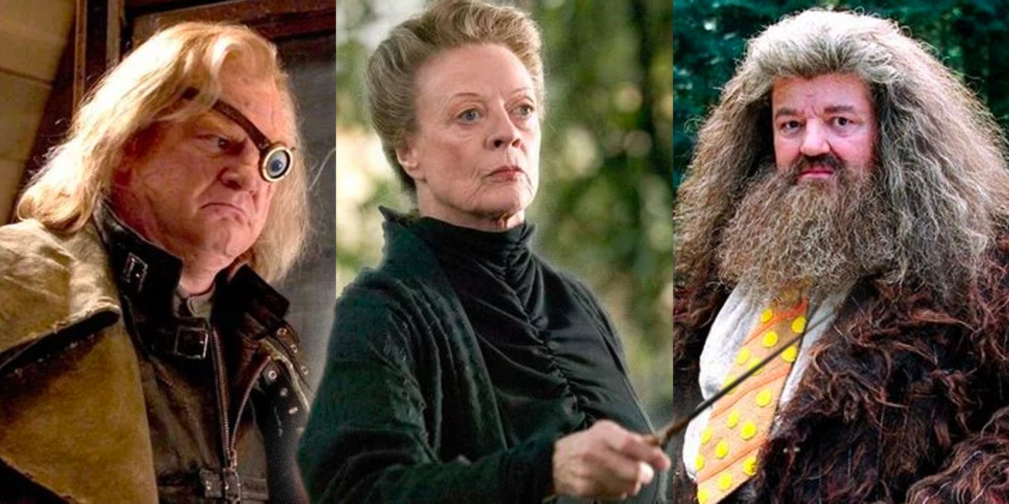 Each Hogwarts Professor And Which House They Belonged To