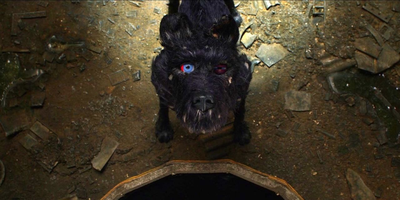 Isle of Dogs Chief