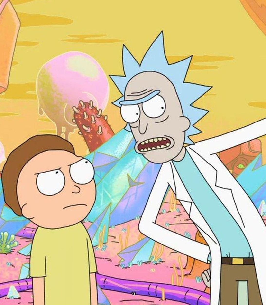 Rick and Morty having a discussion