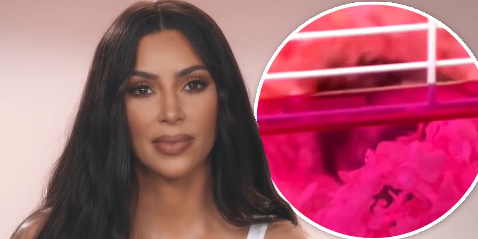 Keeping Up With the Kardashians: Kim 'Fixes' North's Dead Hamster
