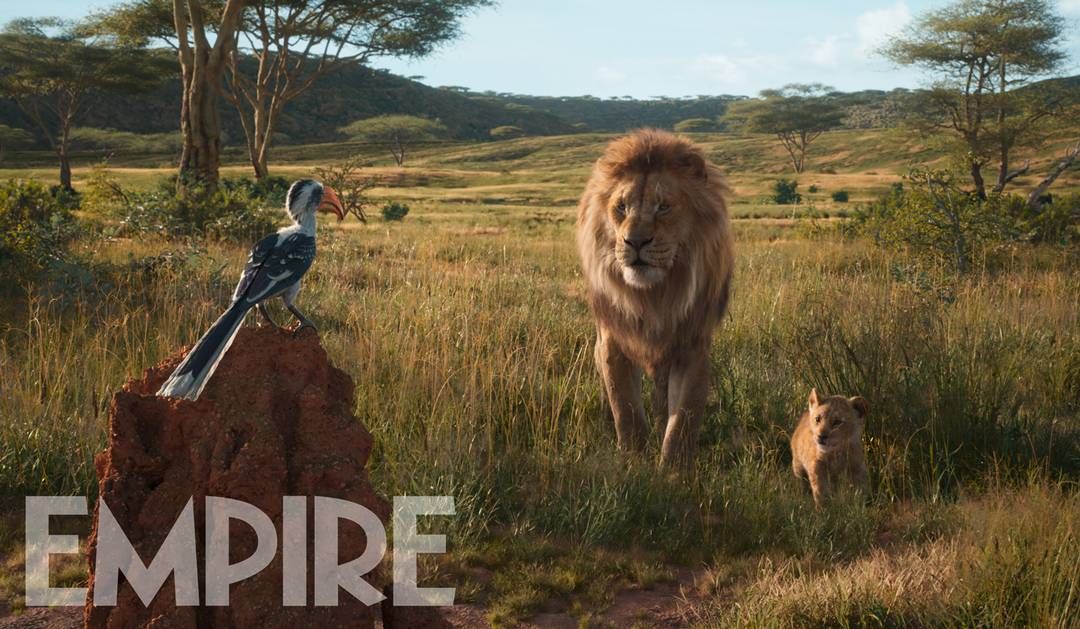 Lion King Zazu Morning Report