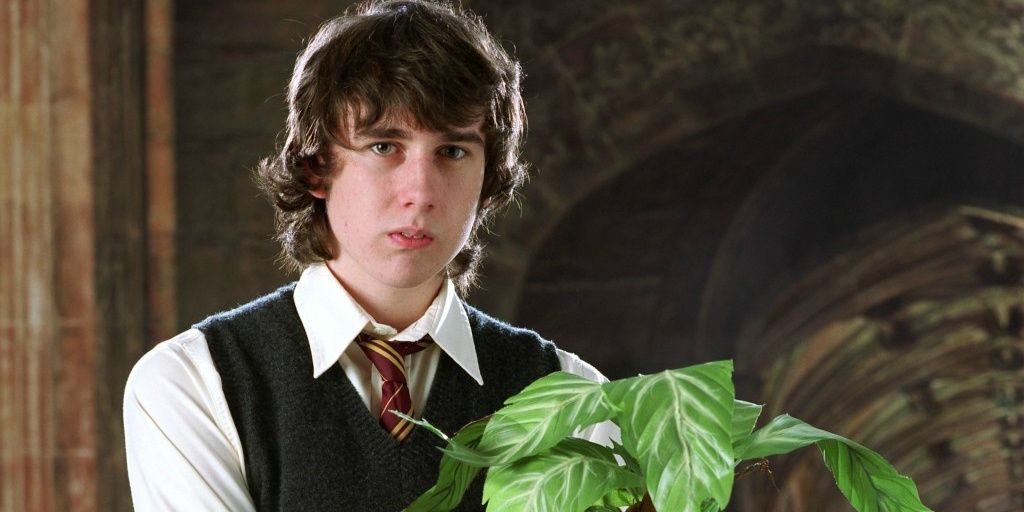 Harry Potter 5 Reasons Neville Should Have Been In Hufflepuff (& 5 He Was Rightfully Placed In Gryffindor)