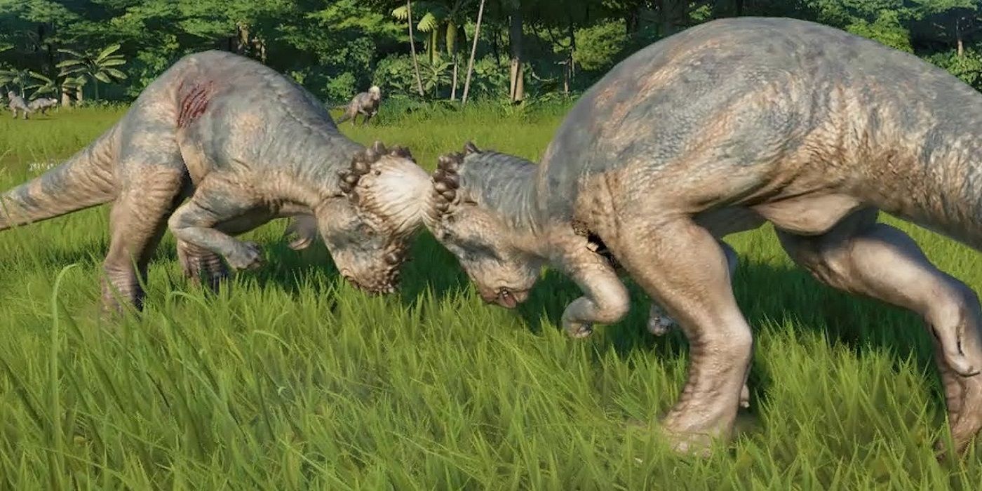 Two Pachycephalosaurus' butting heads in a field in Jurassic World: Evolution