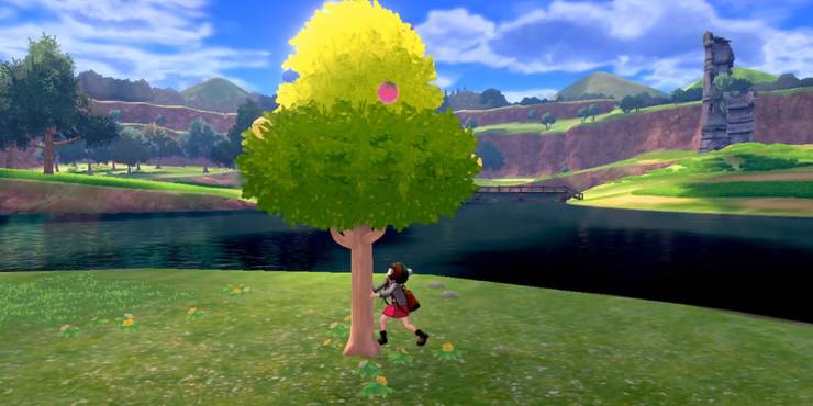 What We Learned From Pokemon Sword Shields June Direct