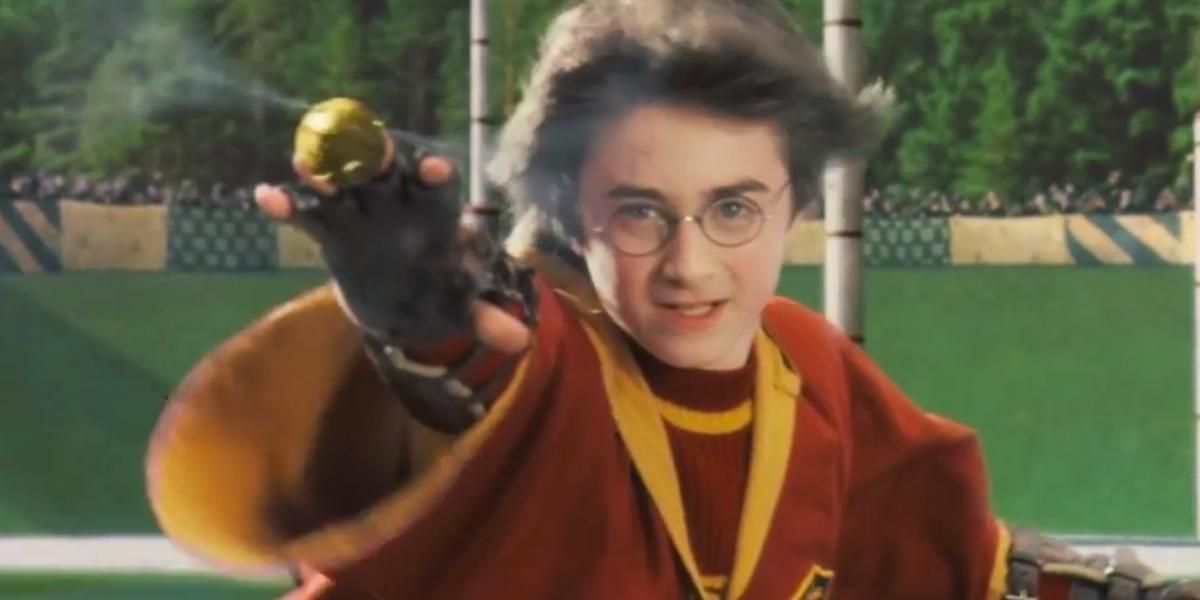 Harry Potter during his first Quidditch game trying to get the snitch.
