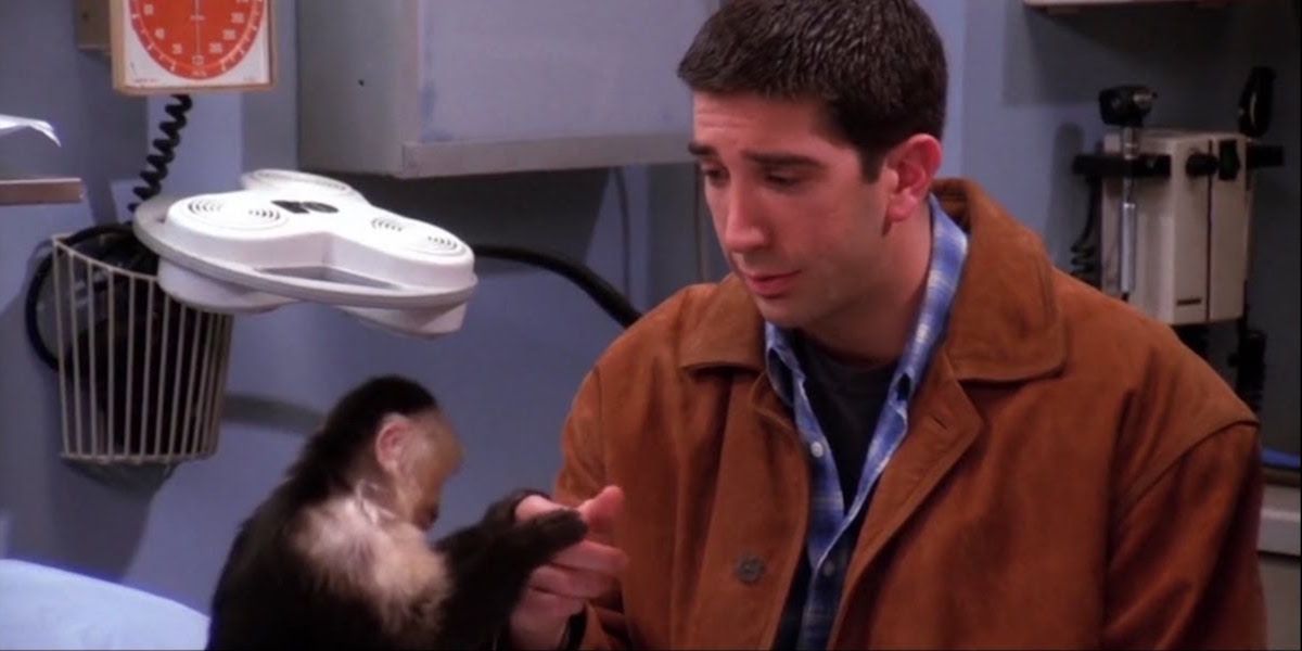 ross and monkey marcel on friends