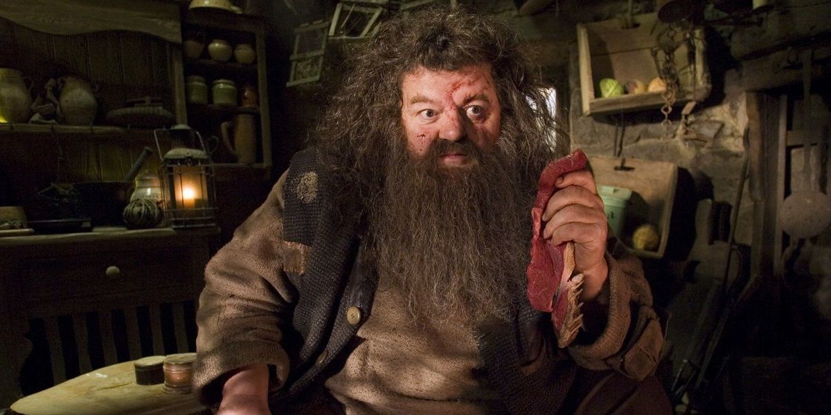 Rubeus Hagrid