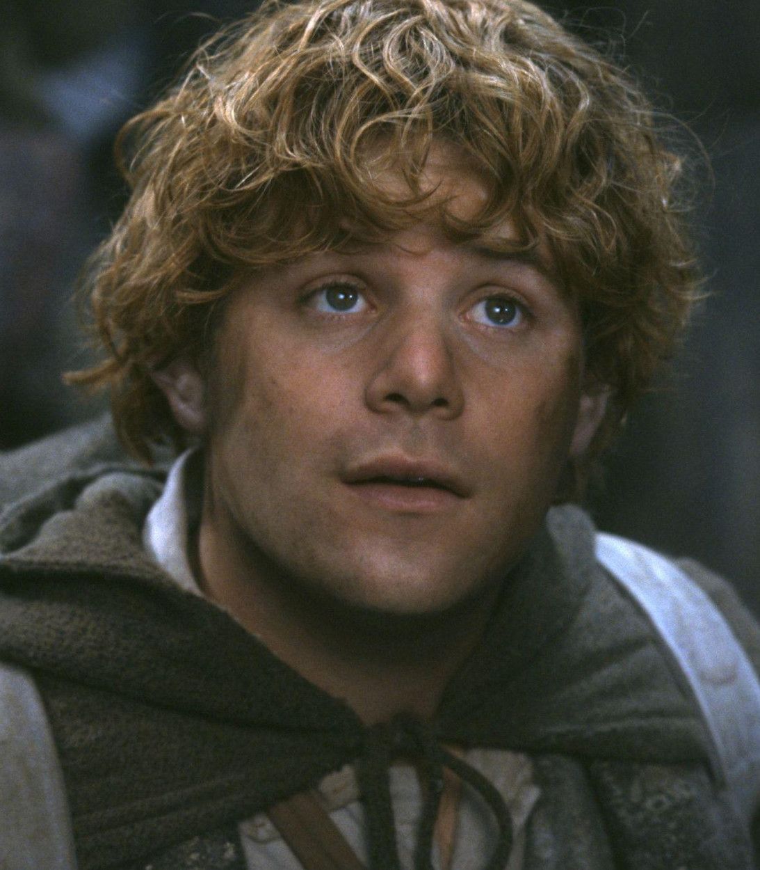 Sean Astin As Samwise In Lord Of The Rings