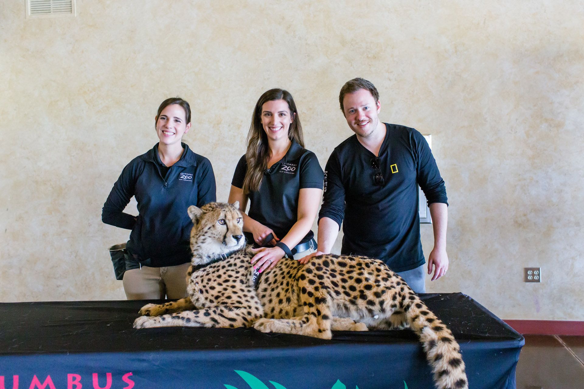 Secrets of the Zoo Season 2 Press Trip - Rob Keyes pets a Cheetah