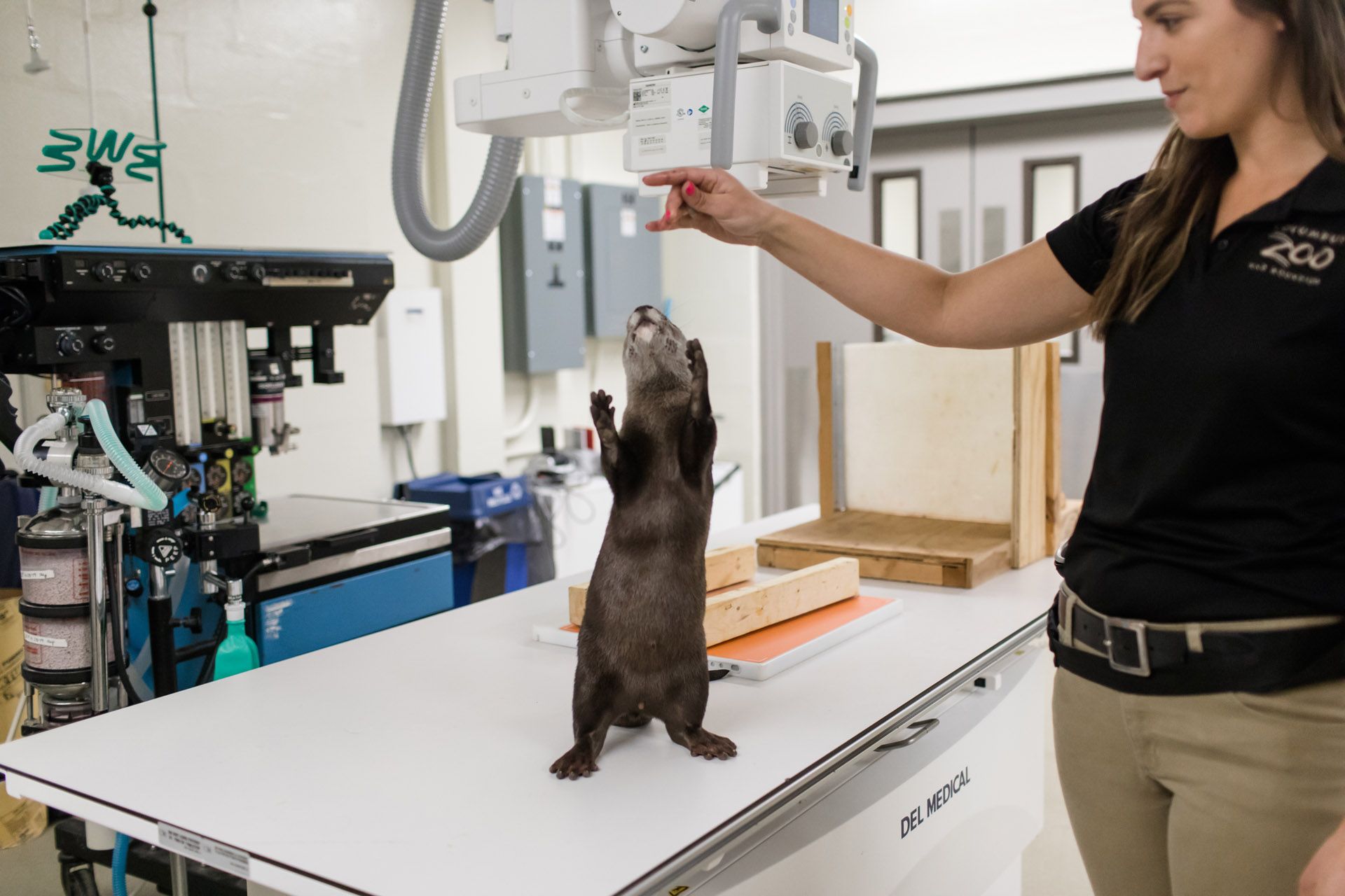 Secrets of the Zoo Season 2 Press Trip Otter
