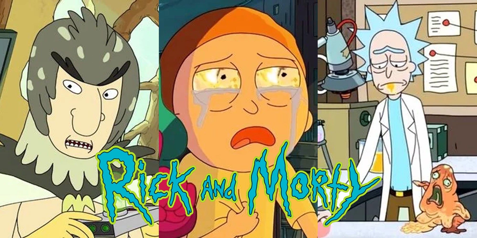 Split image of Bird Person, Morty and Rick from Rick and Morty