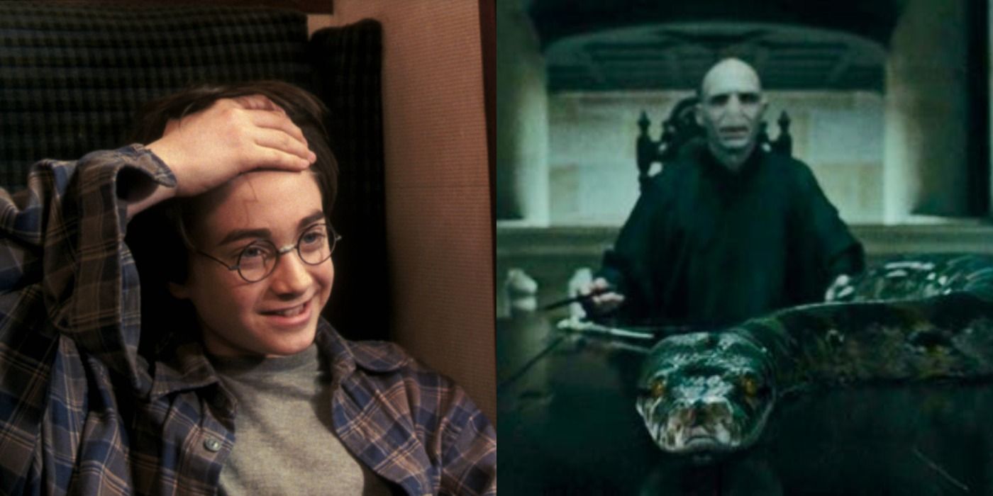 Harry Potter Every Horcrux And Why Voldemort Chose That Object