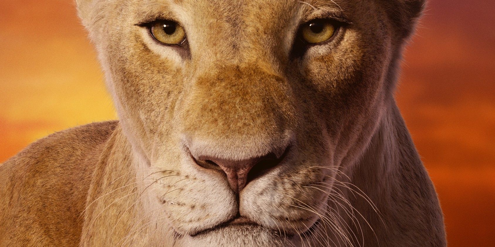 The Lion King 2019 poster with Nala