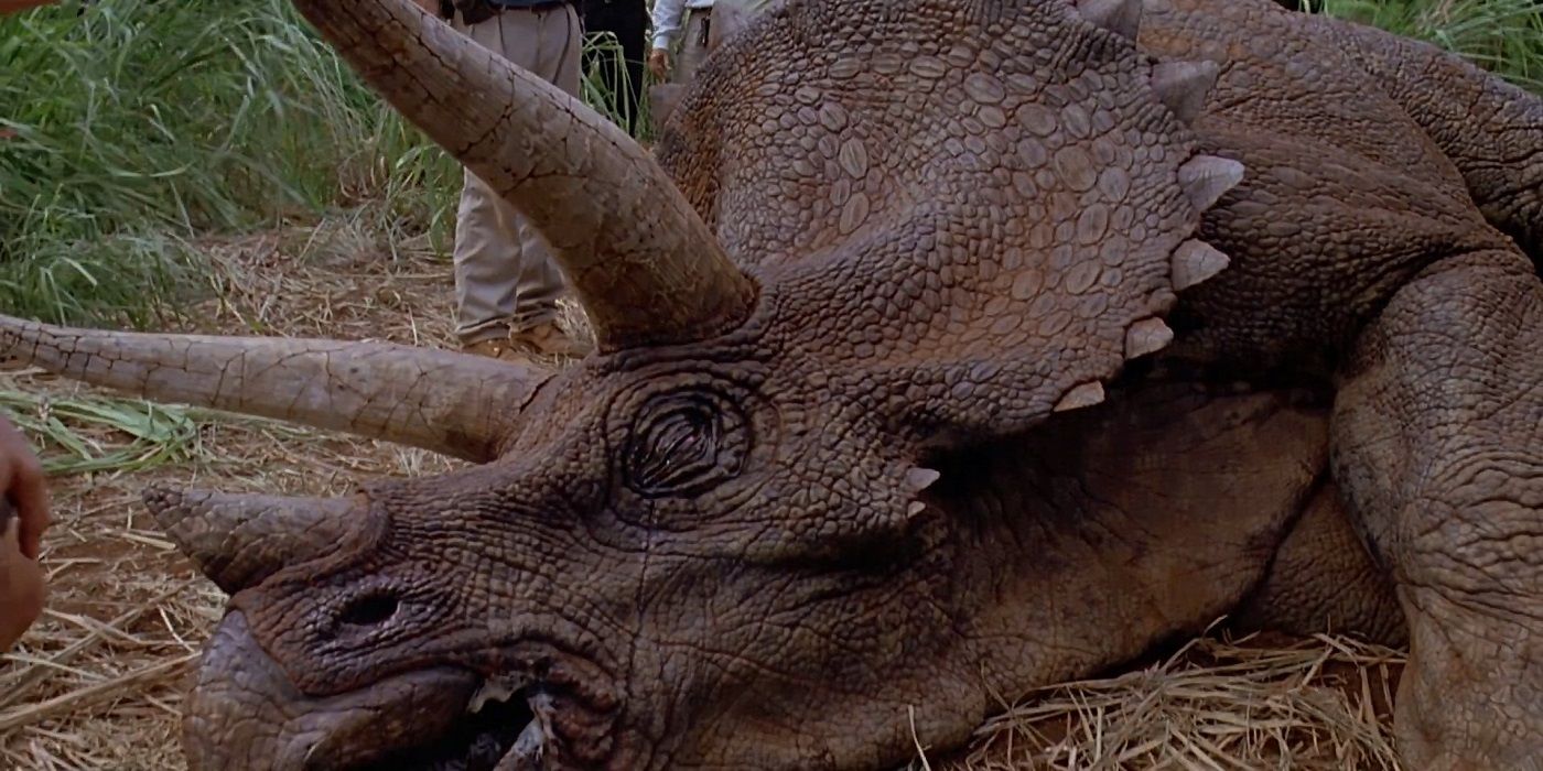 Triceratops in Jurassic Park