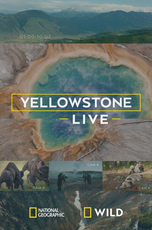 Yellowstone Live Poster NatGeo