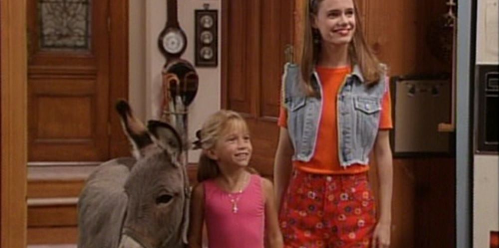 You Pet It You Bought It episode of Full House
