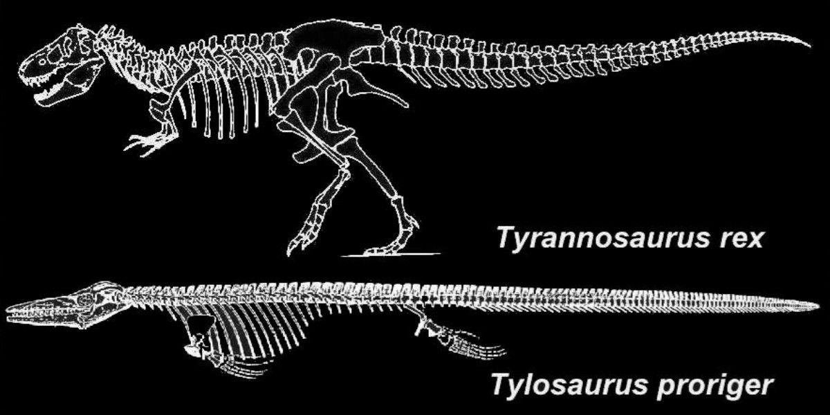 mosasaur t rex size comparison jurassic park Edited