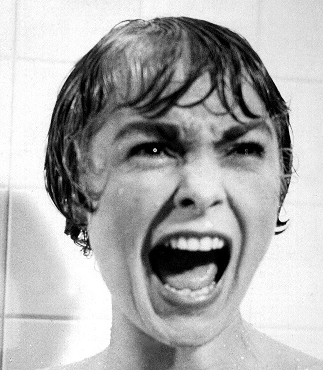 psycho janet leigh TLDR vertical