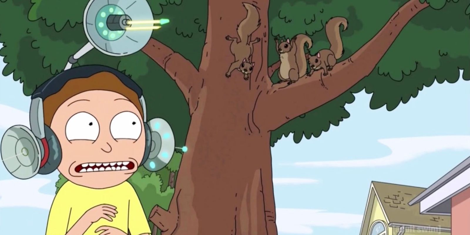 rick and morty squirrels