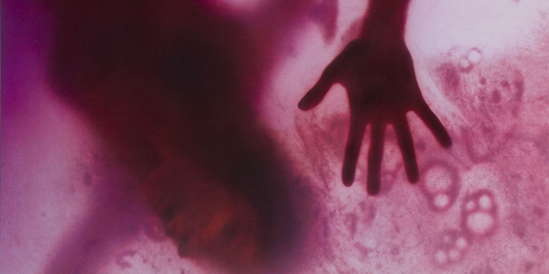 A cropped image of a person trapped within the Blob from the movie poster