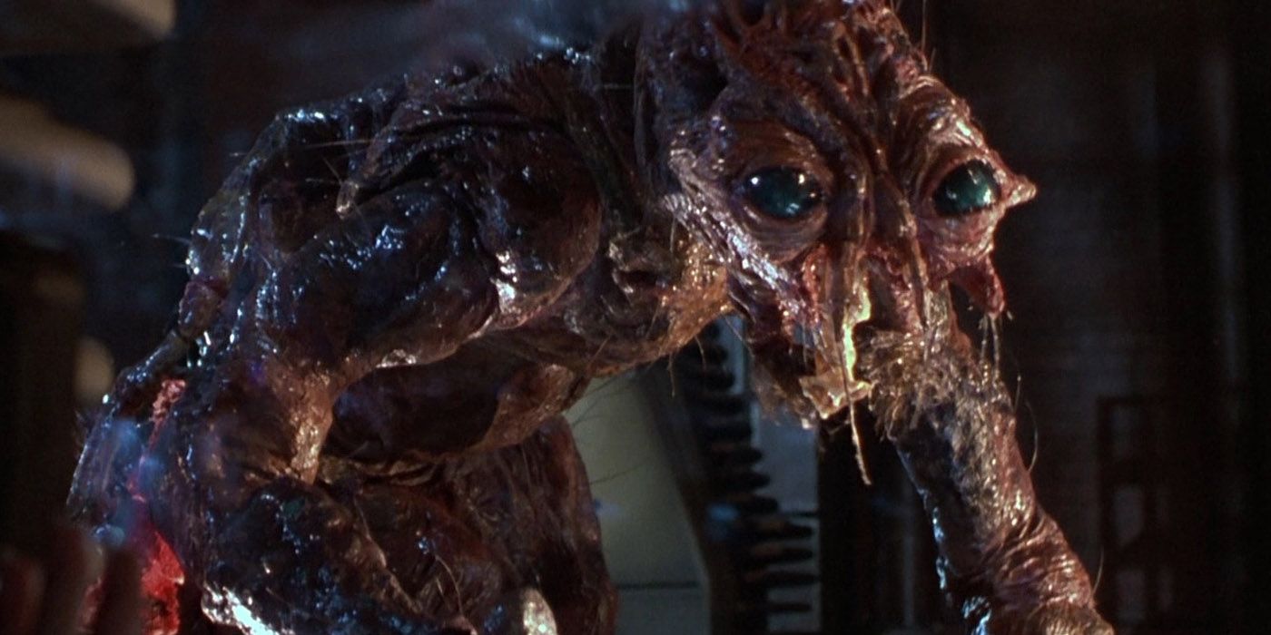 The Fly special effects.