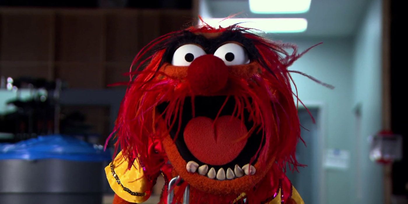 What Muppet Are You Based On Your MBTI?