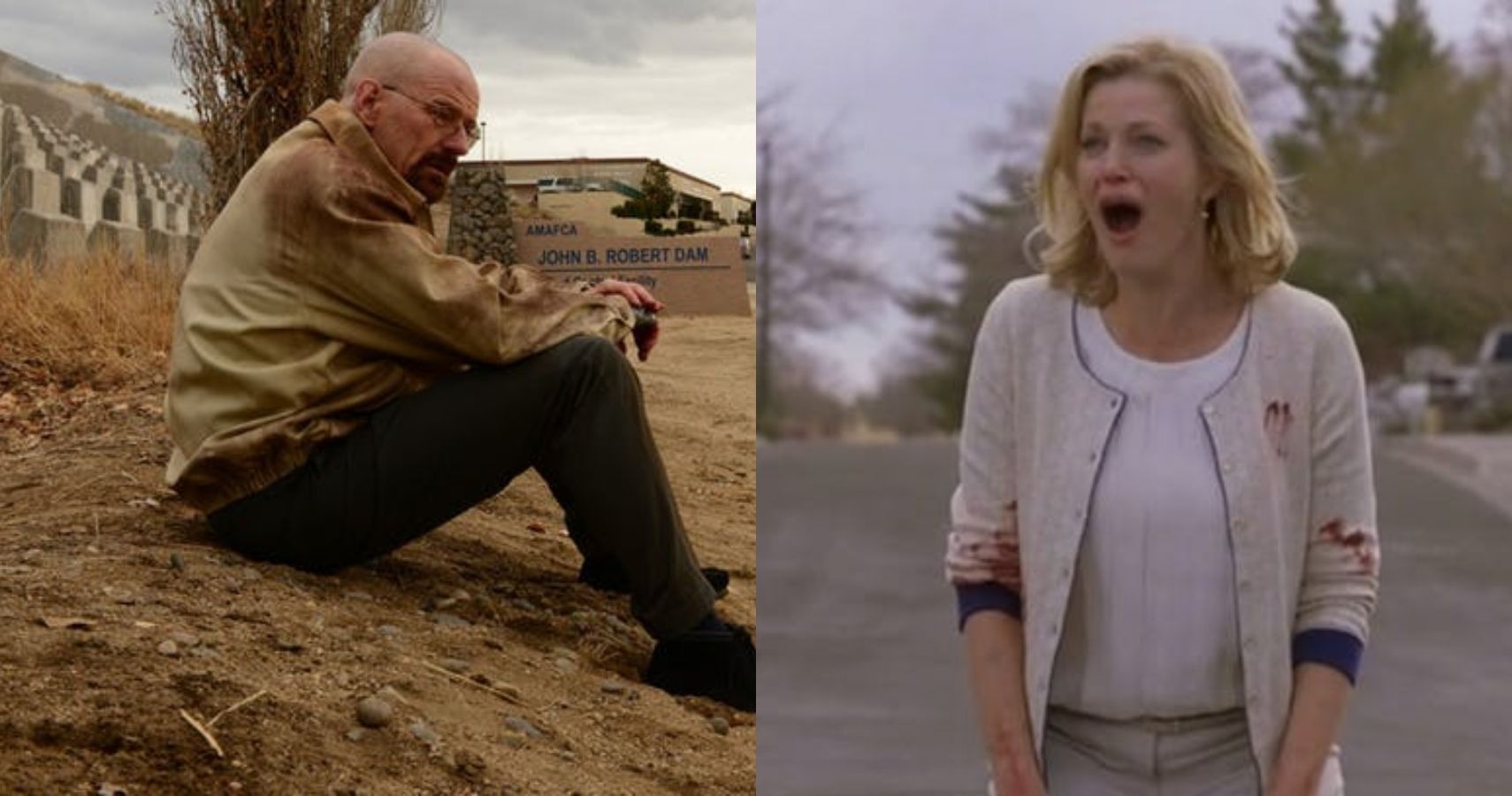 A Shot. - The Fall of Walter White. Ozymandias ~ Breaking