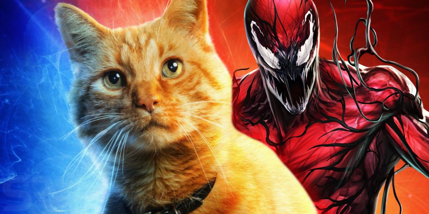 Le Chat Du Capitaine Marvel Vient D Etre Mange Par Carnage Ecran Rant