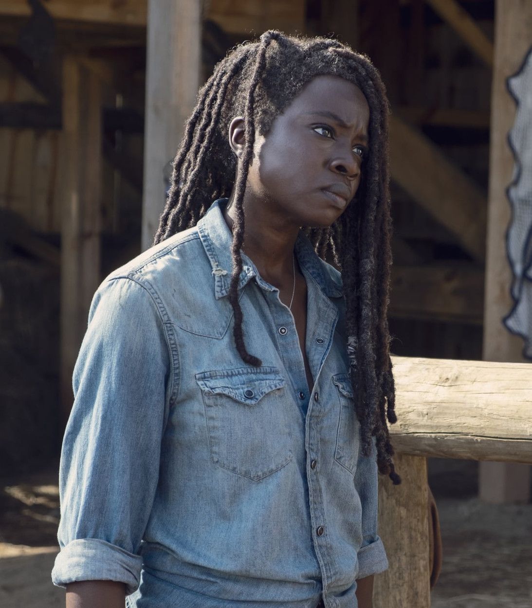 Danai Gurira as Michonne on The Walking Dead
