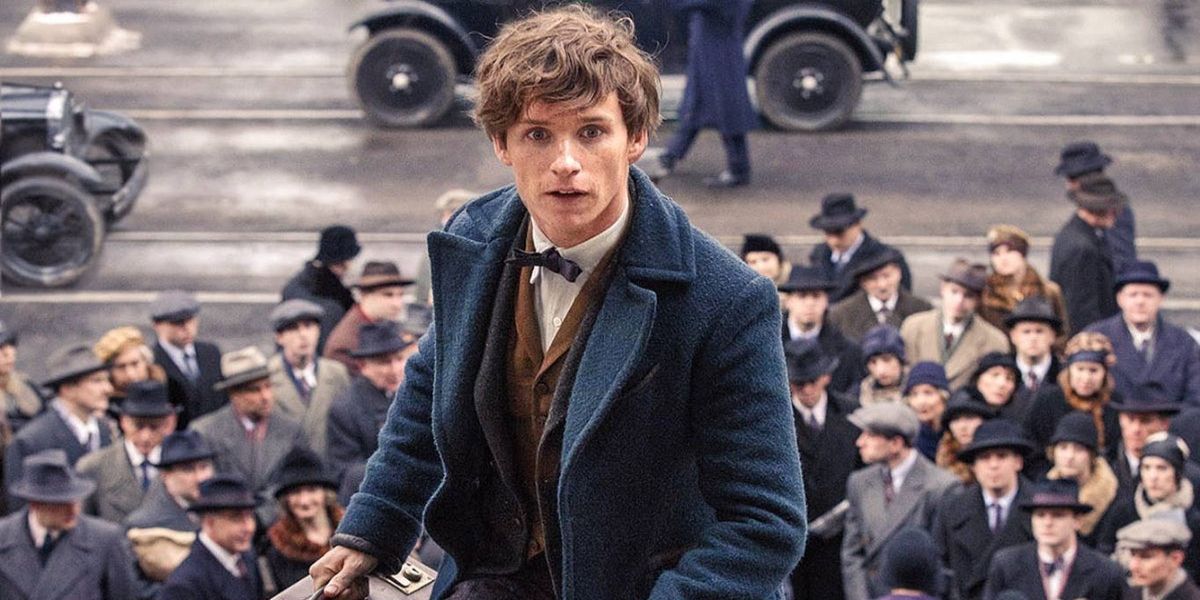 Newt Scamander from the Fantastic Beasts and Where To Find Them movie series.