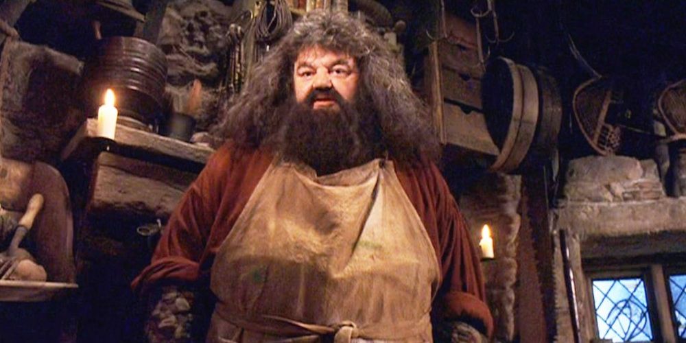 Hagrid standing in his hut wearing an apron in Harry Potter