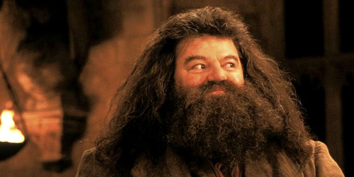 Harry Potter 10 Hilarious Hagrid Logic Memes That Are Too Funny