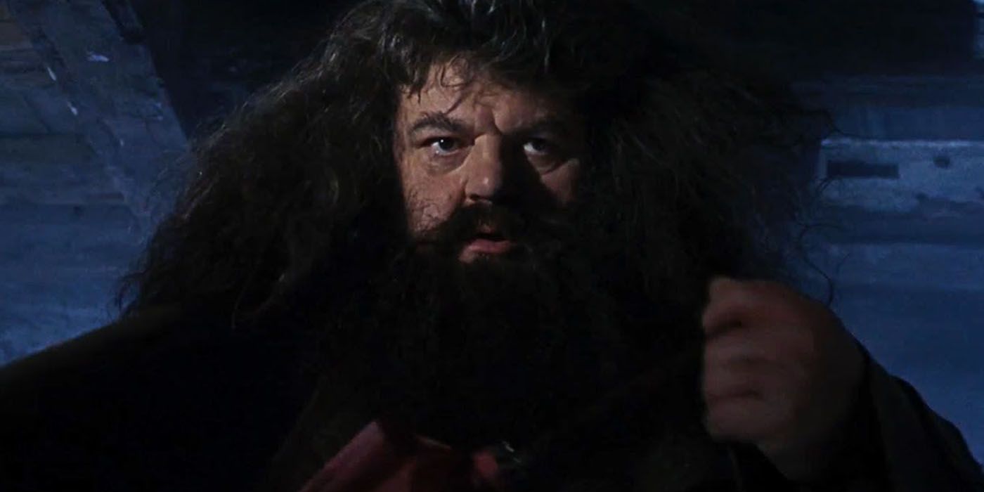 Hagrid in the sorcerer's stone staring intensely at the Dursleys