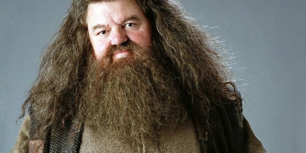 Hagrid from Harry Potter