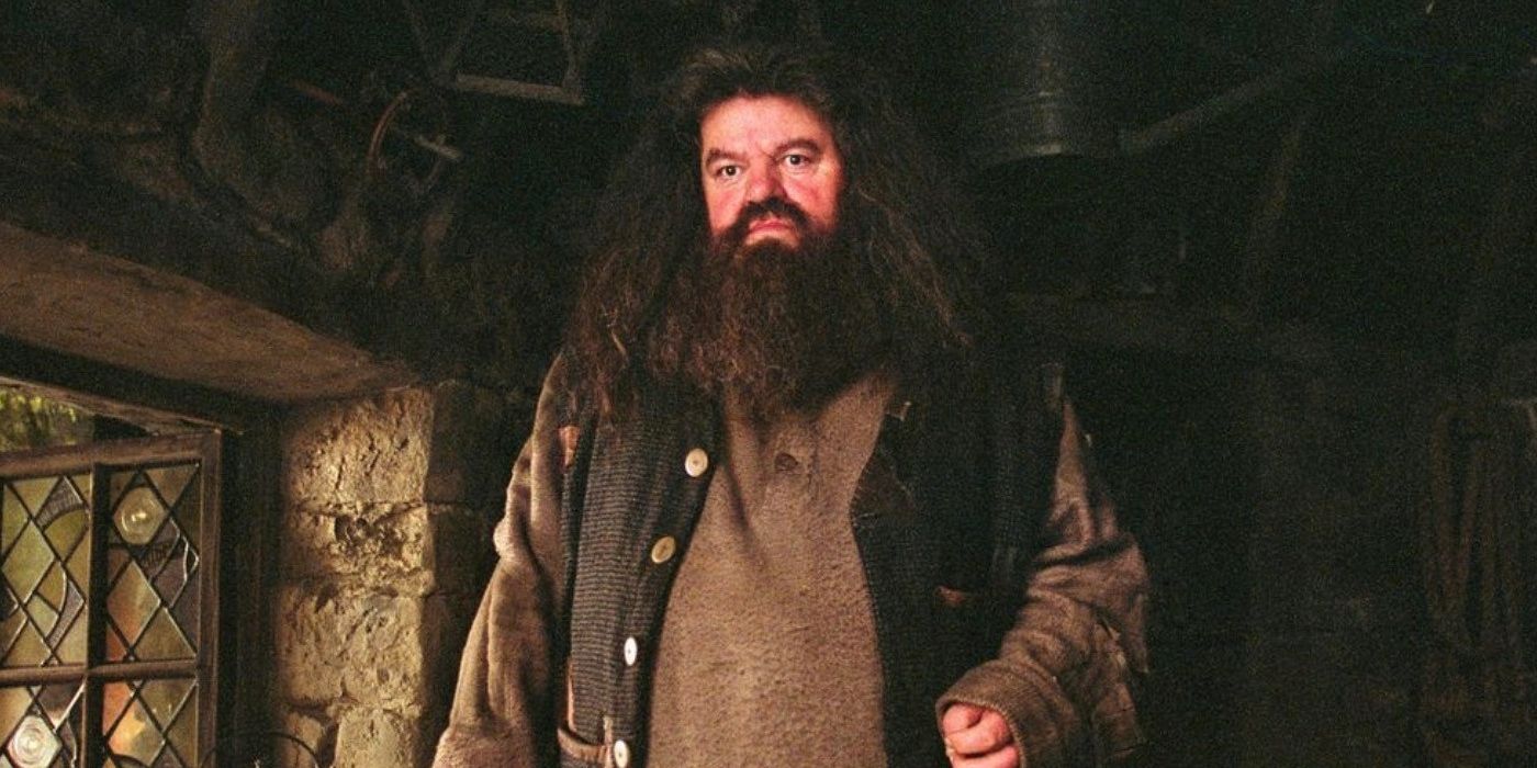 Rubeus Hagrid in his hut in Harry Potter