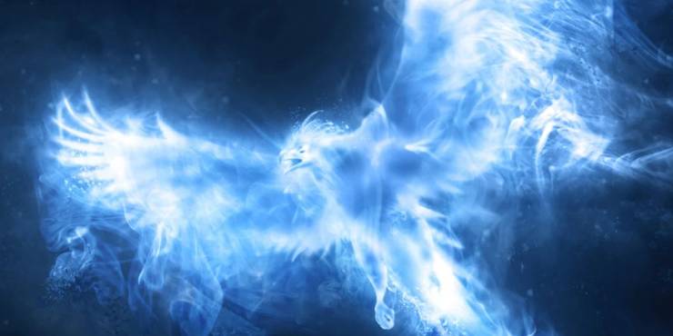 Harry Potter What Are The Main Characters Patronuses