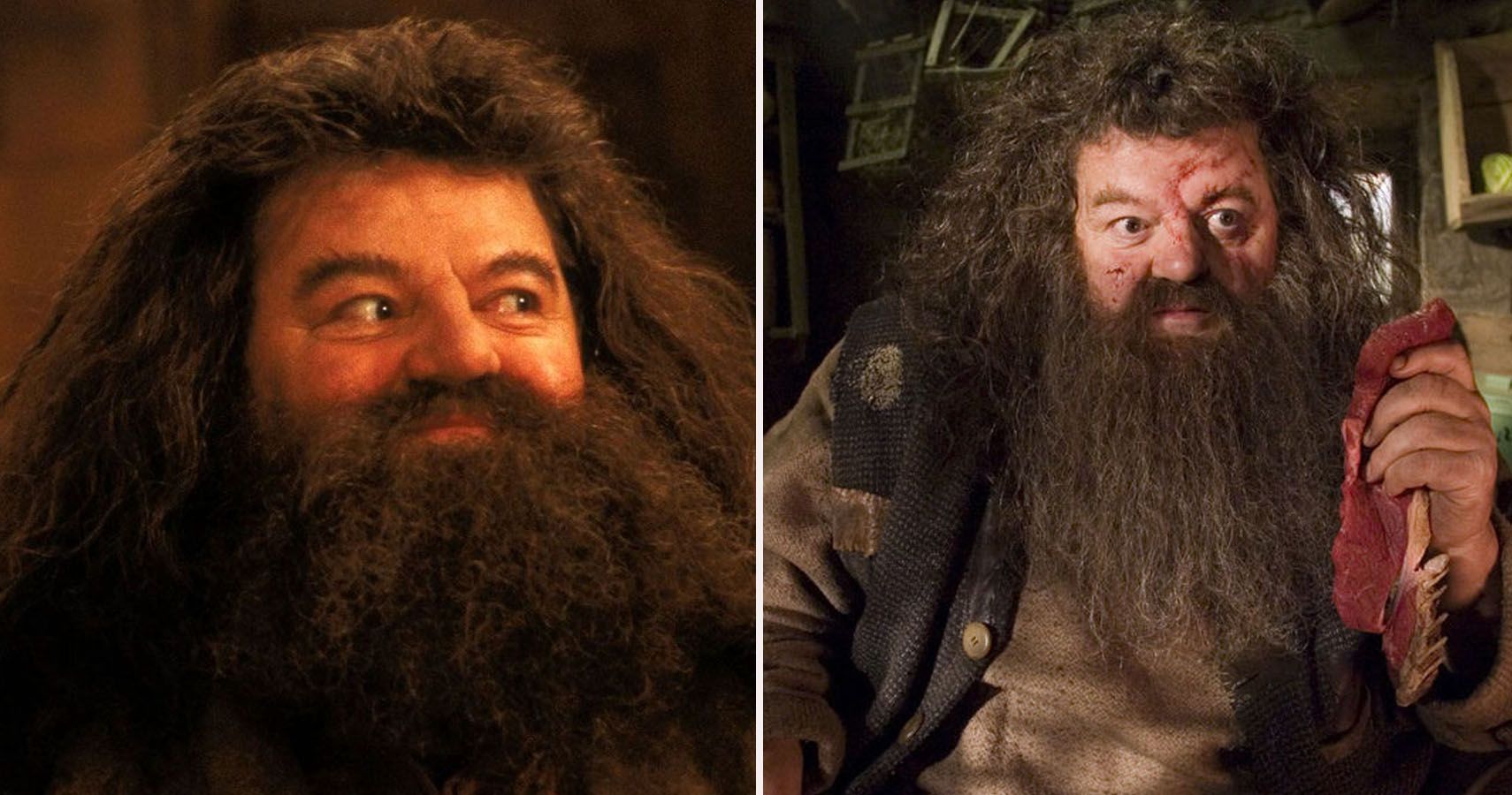 olympe maxime and hagrid