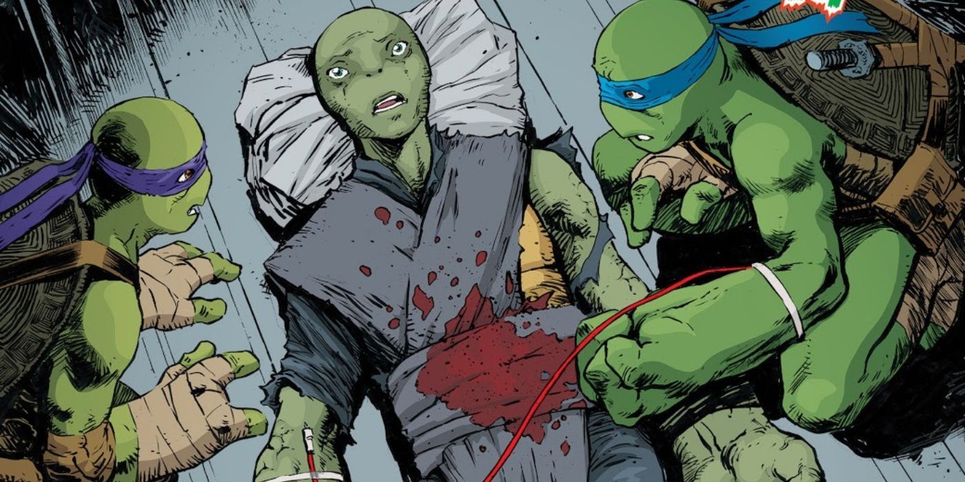 Meet The New, FEMALE Teenage Mutant Ninja Turtle