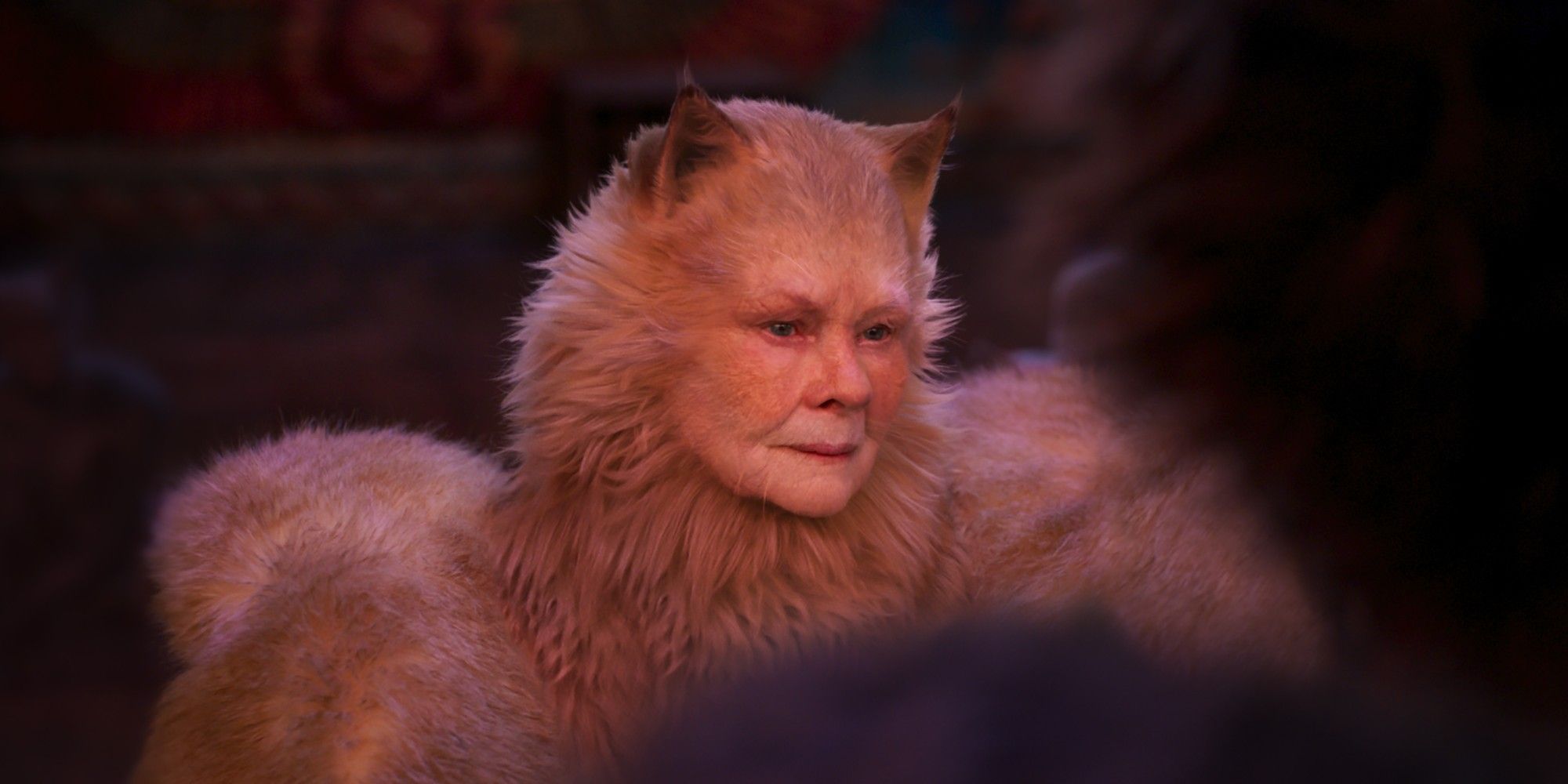 Judi Dench in Cats 2019