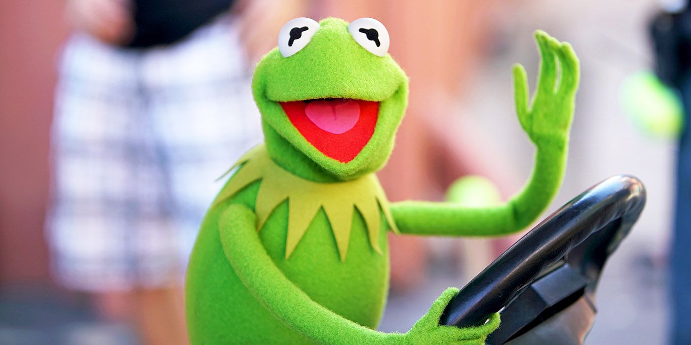 Which Muppet Are You Based On Your MBTI