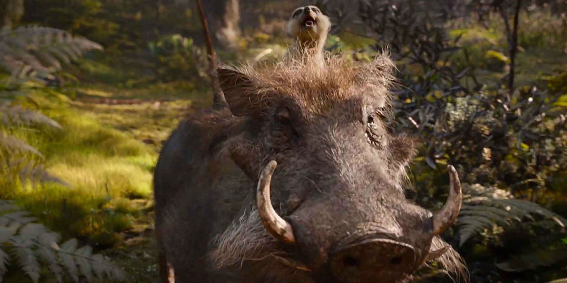Timon Riding Pumbaa in The Lion King