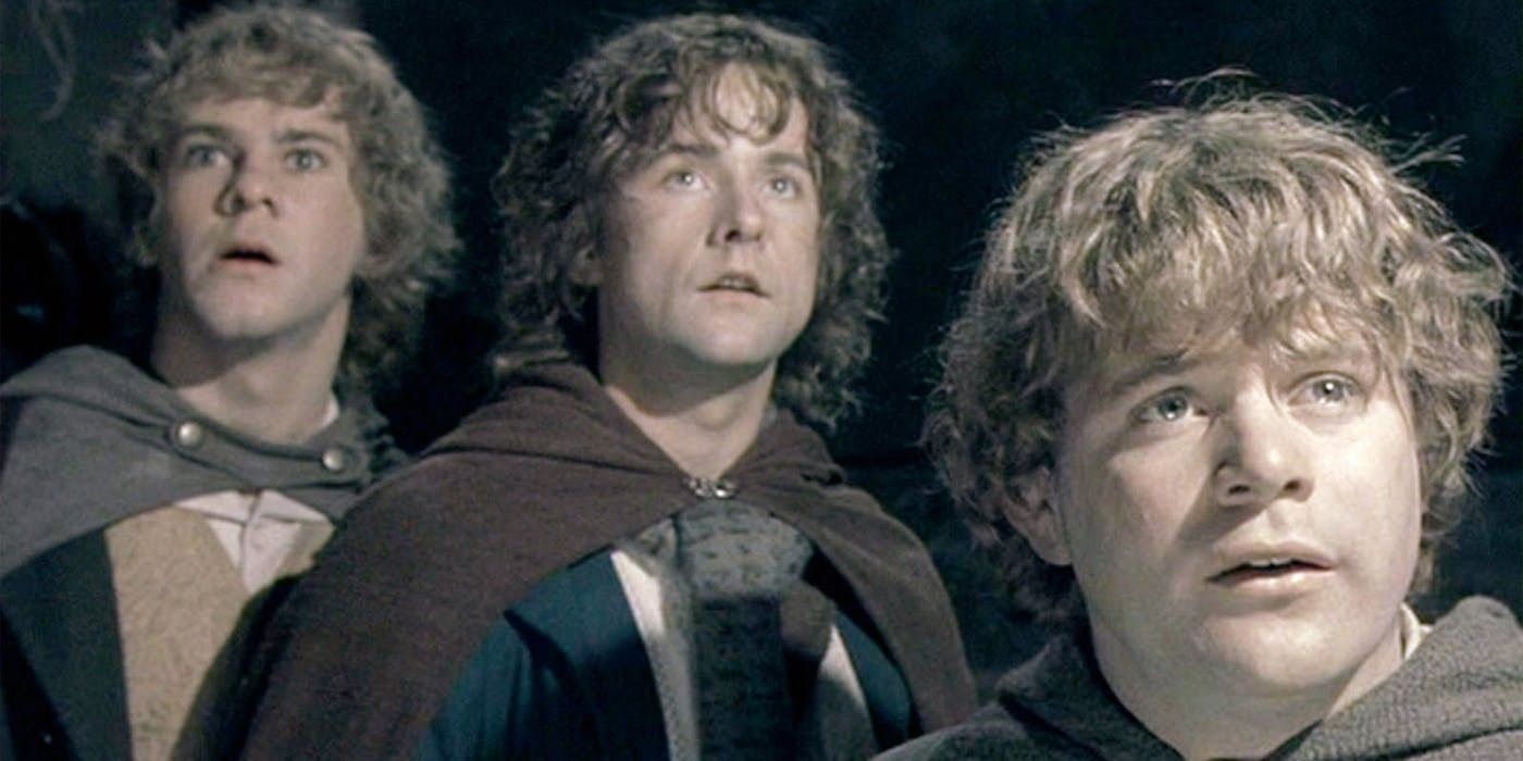 Samwise, Pippin, and Merry look on in Lord of the Rings