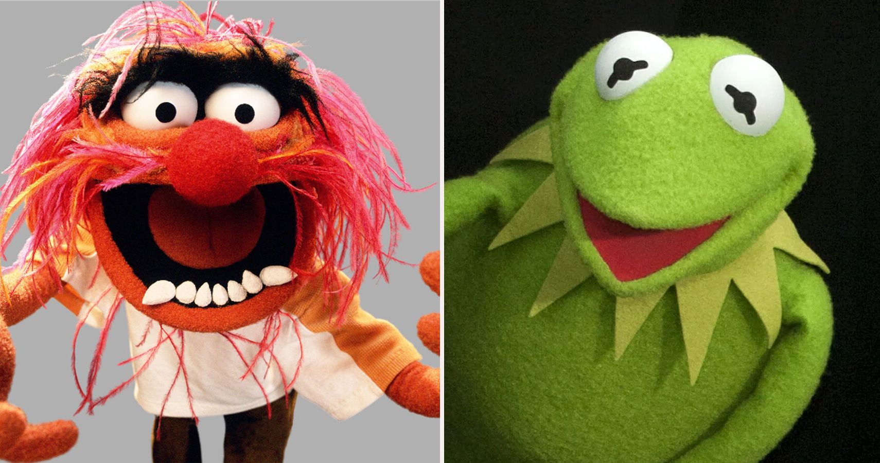 all muppets characters