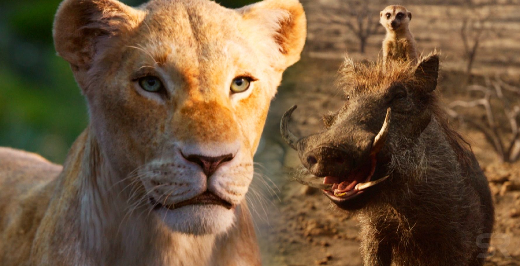 Nala-Timon-and-Pumbaa-in-The-Lion-King