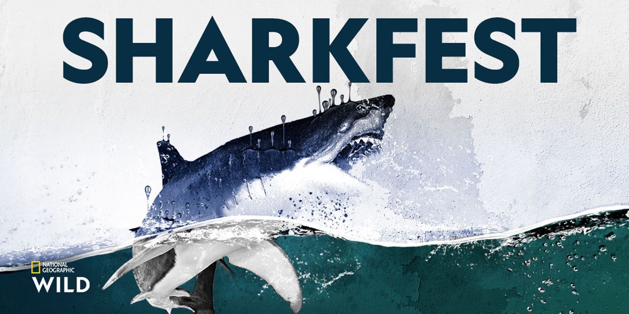NatGeo Sharkfest Logo