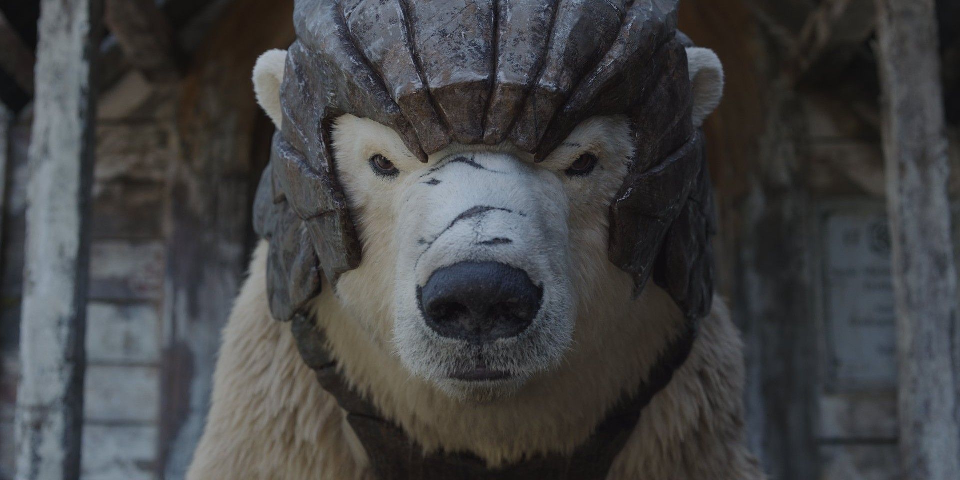 Polar Bear from HBO His Dark Materials