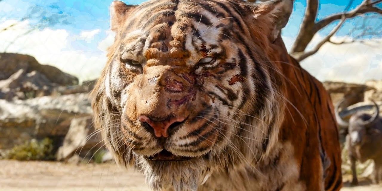 Shere Khan Sneer